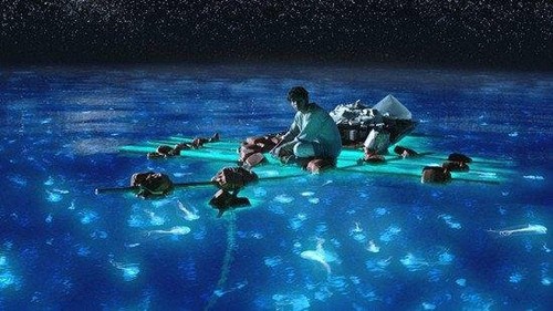 品味 时尚绚丽鼠标盘点