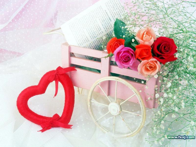 ��������Ҫ ��������޼����˽�����ͼƬ����,ͼ5-ZOL�йش����ߵ�5��