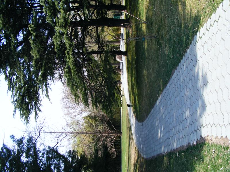 ȫ�ֶ���10X��� ��ʿ�³���S5700����ͼƬ����,ͼ10-ZOL�йش����ߵ�10��