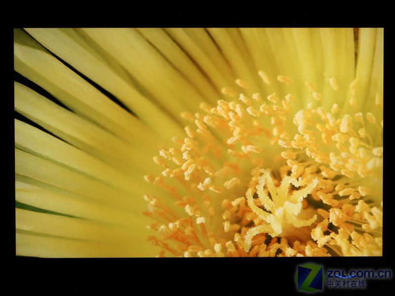 MVA+HDMI LG 24������L246WPȫ���ײ�ͼƬ����,ͼ29-ZOL�йش����ߵ�29��