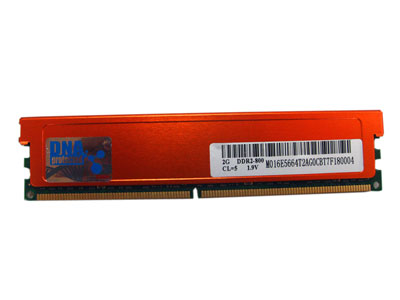 ���Ƽ���GEIL�����2GB DDR2 800���׽������ٷ�ͼ ��1��