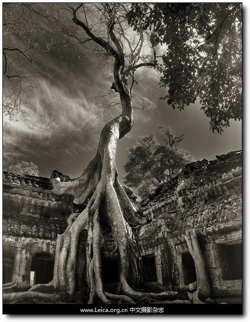 时间的肖像 美国摄影师Beth Moon作品_数码影