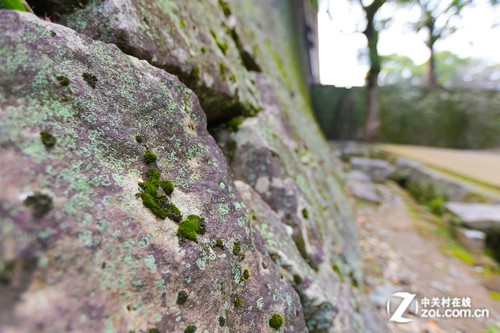 ������Ȫ֮�ã�����6D�����ձ����ݵ� 