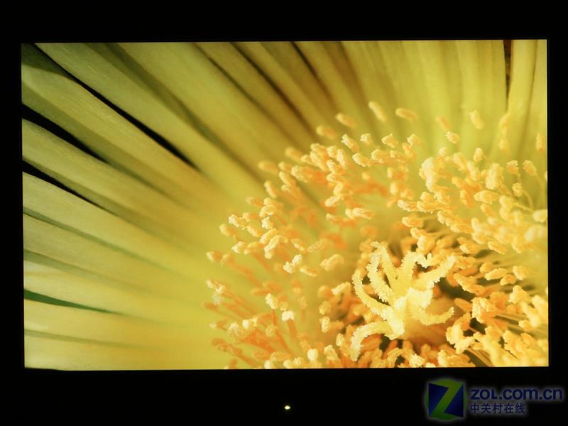 NECLCD220WXͼƬ���� ��29�� -ZOL�йش����ߵ�29��