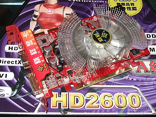 ���飨M-ONE��ս��2600XT 256M DDR3 A��ɱ��ͼƬ���� ��5�� -ZOL�йش����ߵ�5��