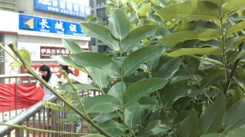 HTC Desire 816对比索尼Xperia T2 Ultra
