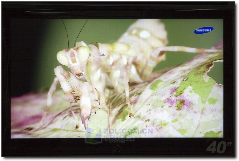 ���ǣ�Samsung��LA40M81BͼƬ���� ��23�� -ZOL�йش����ߵ�23��