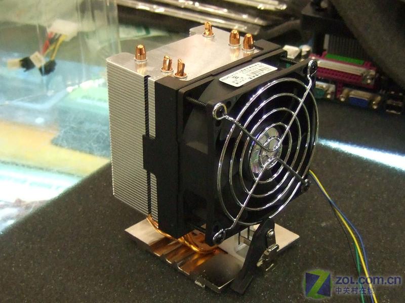 AVC����սʿͼƬ���� ��5�� -ZOL�йش����ߵ�5��