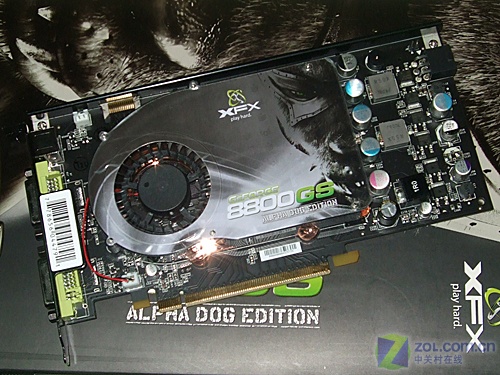 XFXѶ��8800GS(PV-T88S-FDF4)ͼƬ���� ��5�� -ZOL�йش����ߵ�5��