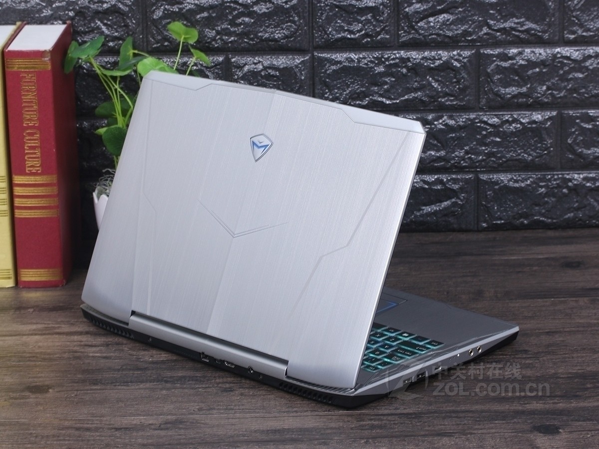 【高清图】机械师(MACHENIKE)F117-S11效果