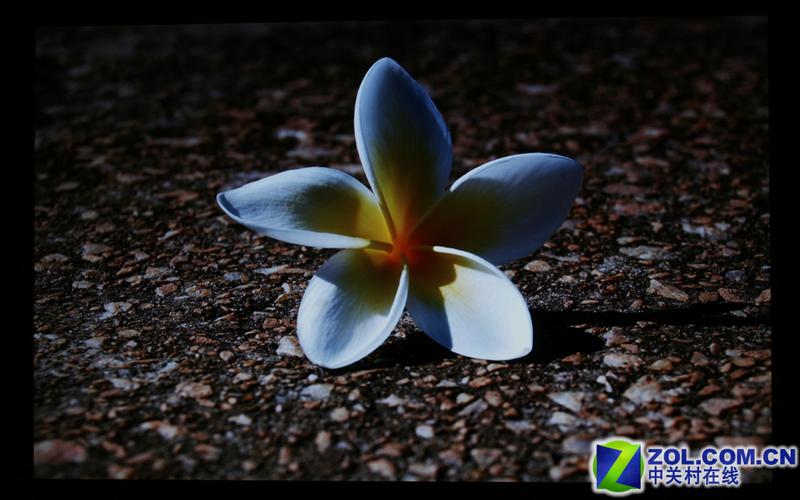 1000:1������CS ������׼22����(��Ƶ)ͼƬ����,ͼ20-ZOL�йش����ߵ�20��