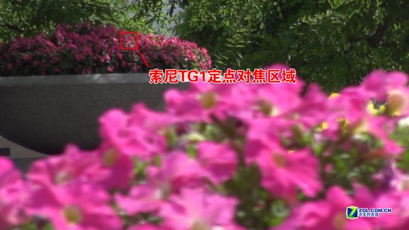 240��ȫ����DV �ѽ��������TG1ȫ���ײ�ͼƬ����,ͼ43-ZOL�йش����ߵ�43��