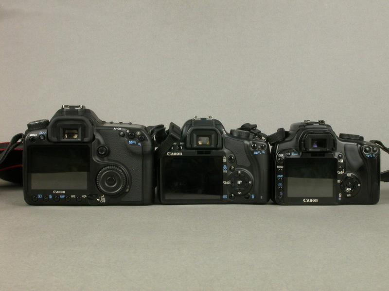 ���ܣ�Canon��450DͼƬ���� ��145�� -ZOL�йش����ߵ�145��
