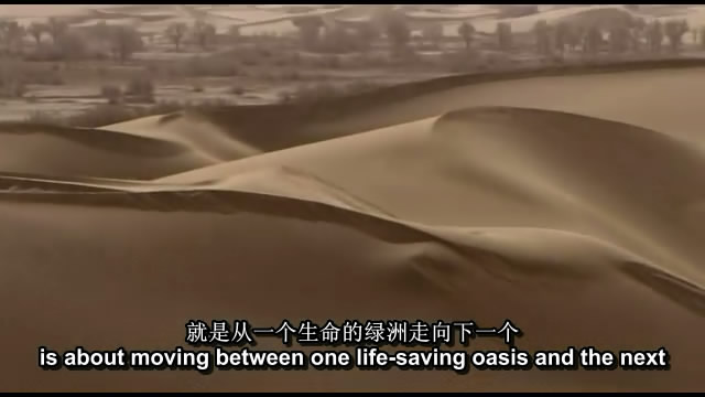 China������ �������й������������ͼƬ����,ͼ1-ZOL�йش����ߵ�1��