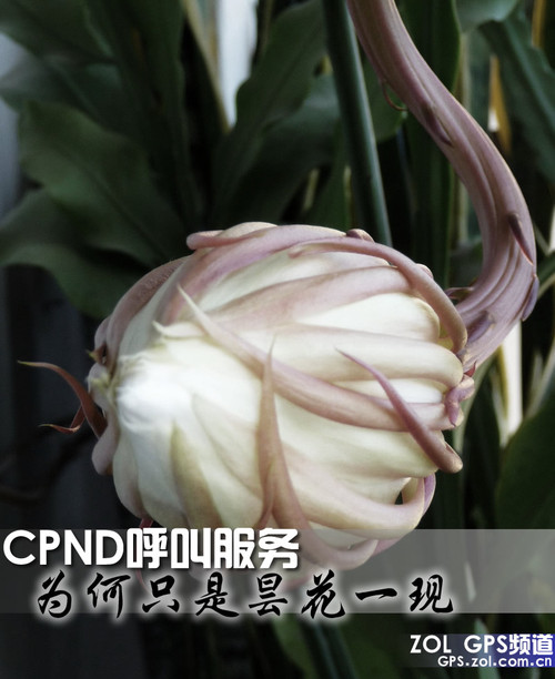 꼻�һ�� CPND���з����������ж�Զ 