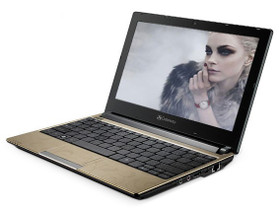 Gateway LT2305c��ʱ������˦��1699 ���ʻ�����������