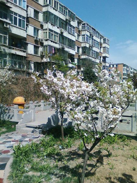 �򻬱������� LG�ɿ���KG90����