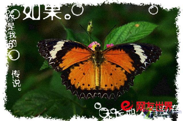 ��һ���ĸо� ��ͨ��ƬҲ��LOMO���ͼƬ����,ͼ3-ZOL�йش����ߵ�3��