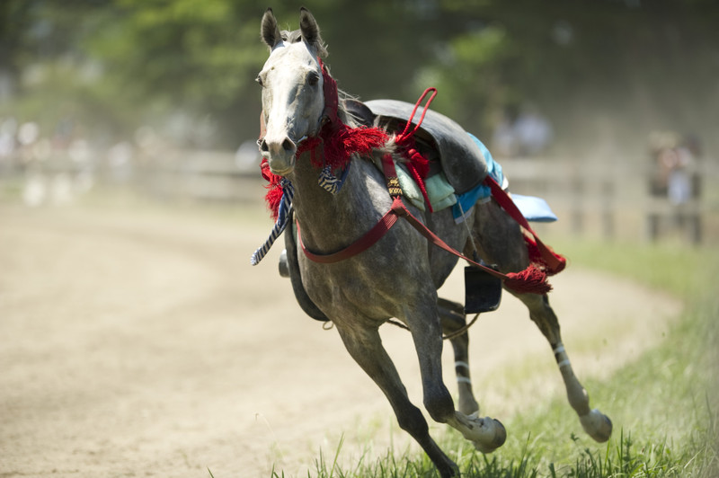 【高清图】高画质定焦头 尼康新镜200mm F2样