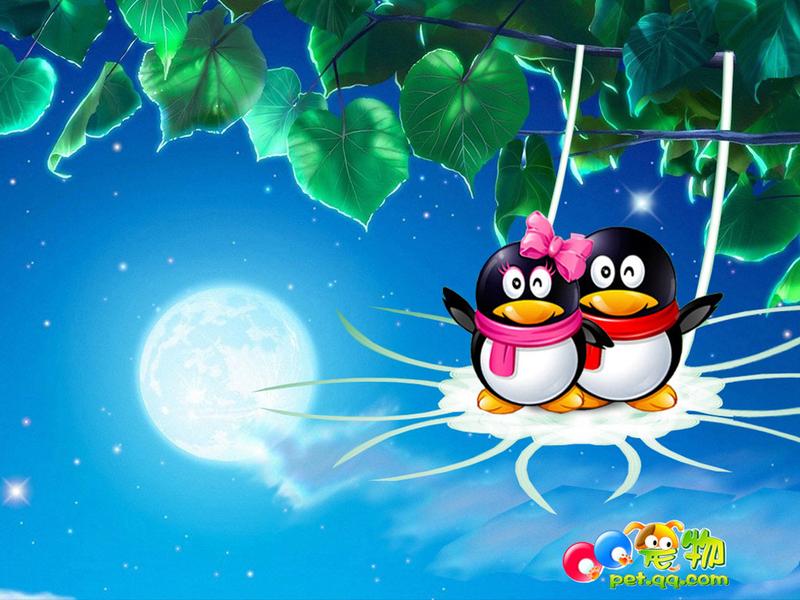 �Ӿ����� QQ��������������ֽ����ͼƬ����,ͼ5-ZOL�йش����ߵ�5��