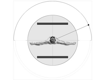 AC97������������ ���³�Realtek����ͼƬ����,ͼ1-ZOL�йش����ߵ�1��