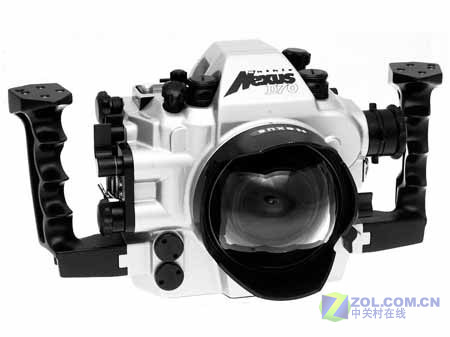 �῵��Nikon��D70s/�׻�ͼƬ���� ��5�� -ZOL�йش����ߵ�5��