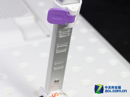 赛鲸