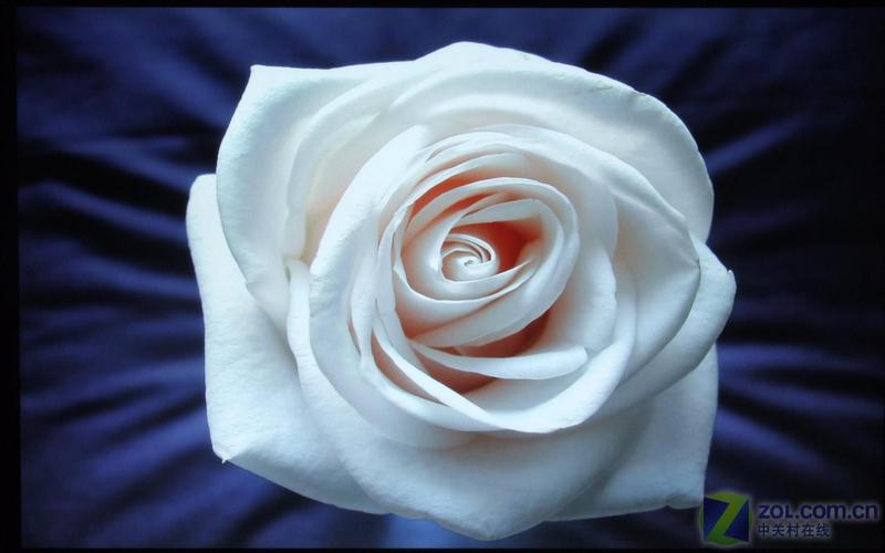 ���ɶ���22Ӣ�����Һ��VX2235wm����ͼƬ����,ͼ3-ZOL�йش����ߵ�3��
