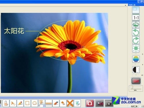 打造视频展台先锋 鼎易发布教育版软件 