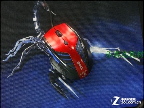 BALB/c小鼠阴虚型过敏性哮喘模型的建立与评价