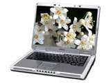戴尔Inspiron 6400(N510313)