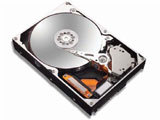 ����DiamondMax Plus10 300GB 7200ת 16M