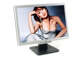 Acer AL1916Ws