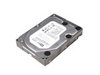 WD 320GB 7200ת 16MB(��������)