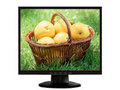 NEC LCD190VX Һ����ʾ��