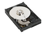 WD WD3200JB