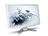 Acer P223W