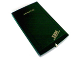 IBM SOARROR �����ͣ�80GB)