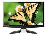 Acer P244W