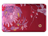 ����Mini 1000 Vivienne Tam�ر��