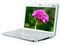 msi΢�� Wind U100-IBN2701G12XH