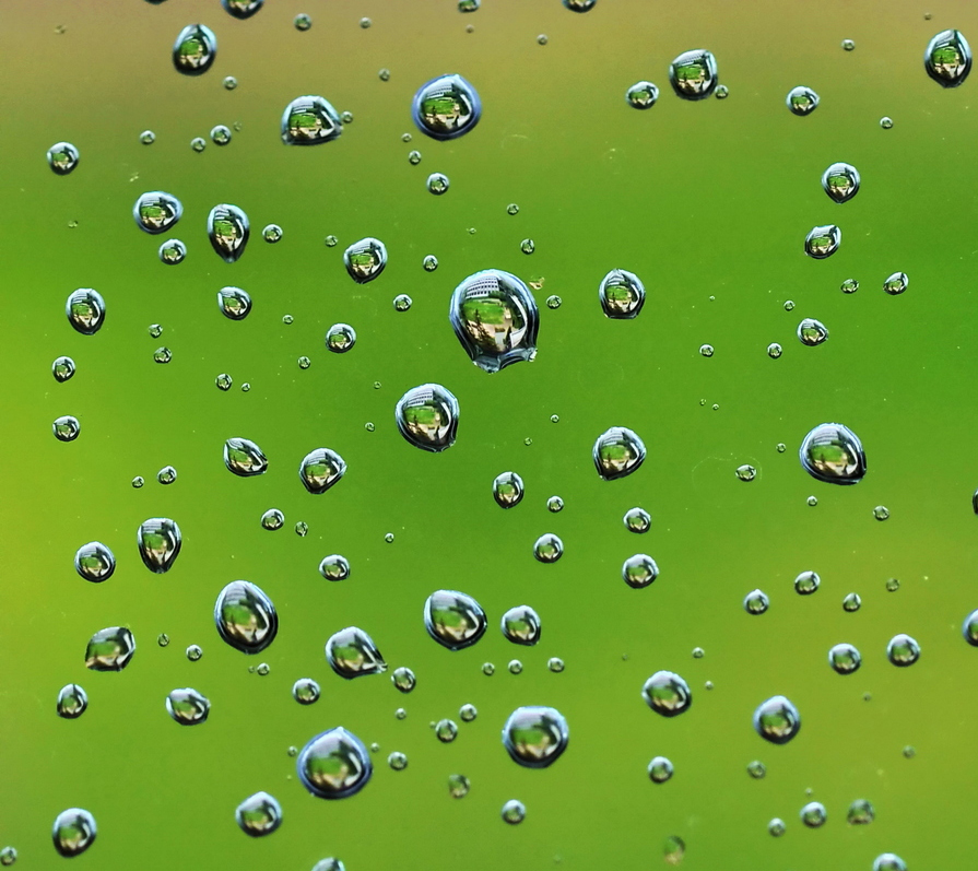 密集恐惧慎入 探秘水滴中的微距奇观