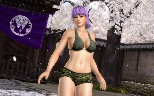 死或生5 泳装性感壁纸