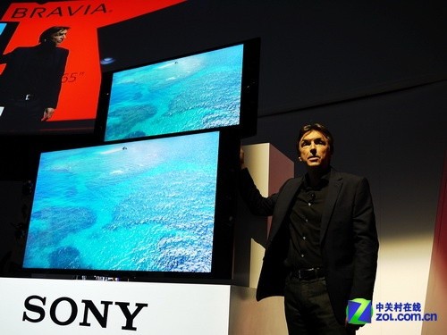 ����OLED���� ����CES2013���������� 