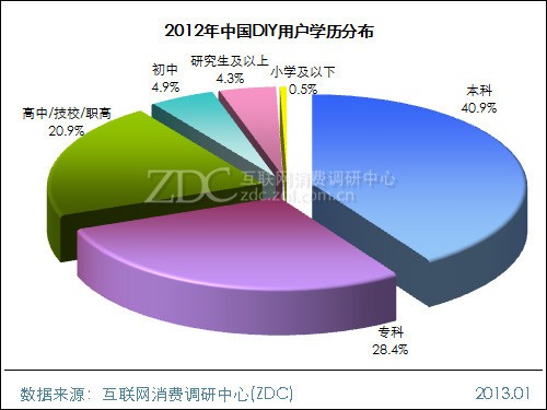2012-2013���й�DIY�û����Ե��鱨�� 
