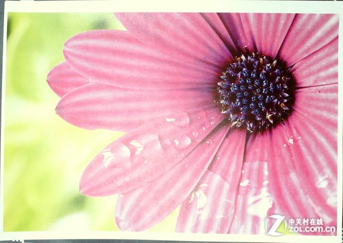 惠普pro 200 m251n彩色激光打印机打印的a4照片样张