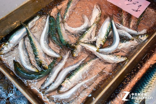 "大C"游世界 带你买日本最新鲜的海产