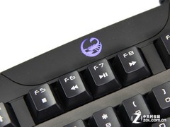 ceDEFpvyvPLmc.jpg
