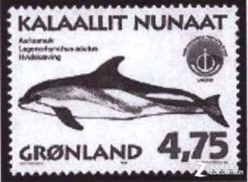 ʡǮ��С���¡� ����M2676Nһ����ײ� 