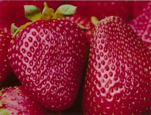 ʡǮ��С���¡� ����M2676Nһ����ײ� 